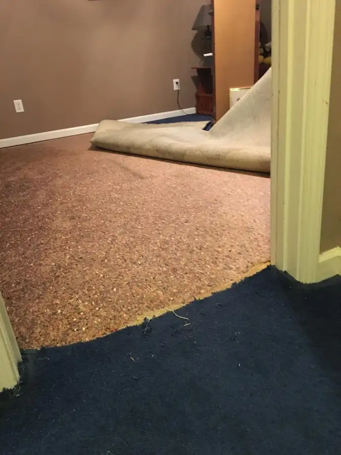 Carpet pad removal revealing water damage during Water Mitigation Services in Iona