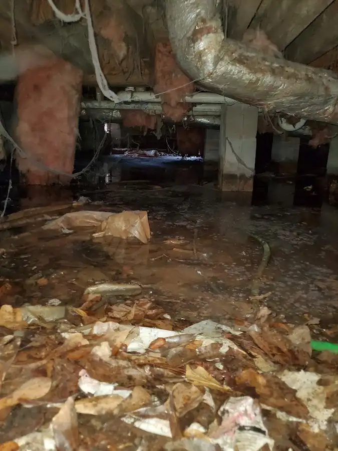 Crawl space flood assessment for Commercial Water Damage Restoration in Iona