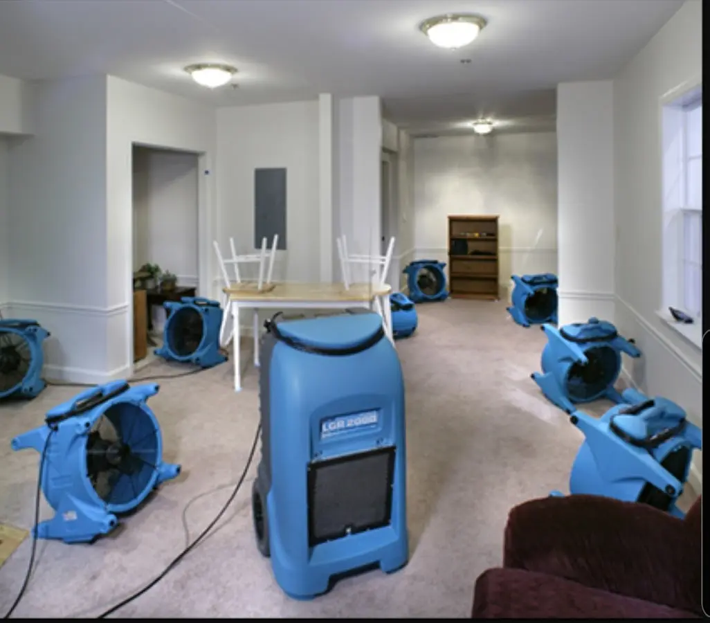 Air movers and dehumidifier setup for Water Extraction & Removal in Iona