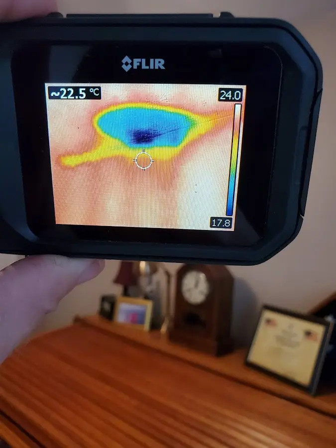 Thermal imaging inspection for water damage in Iona