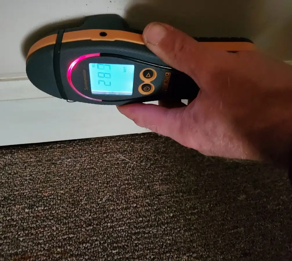 Moisture detection at baseboard during Mold Inspection & Testing in Iona