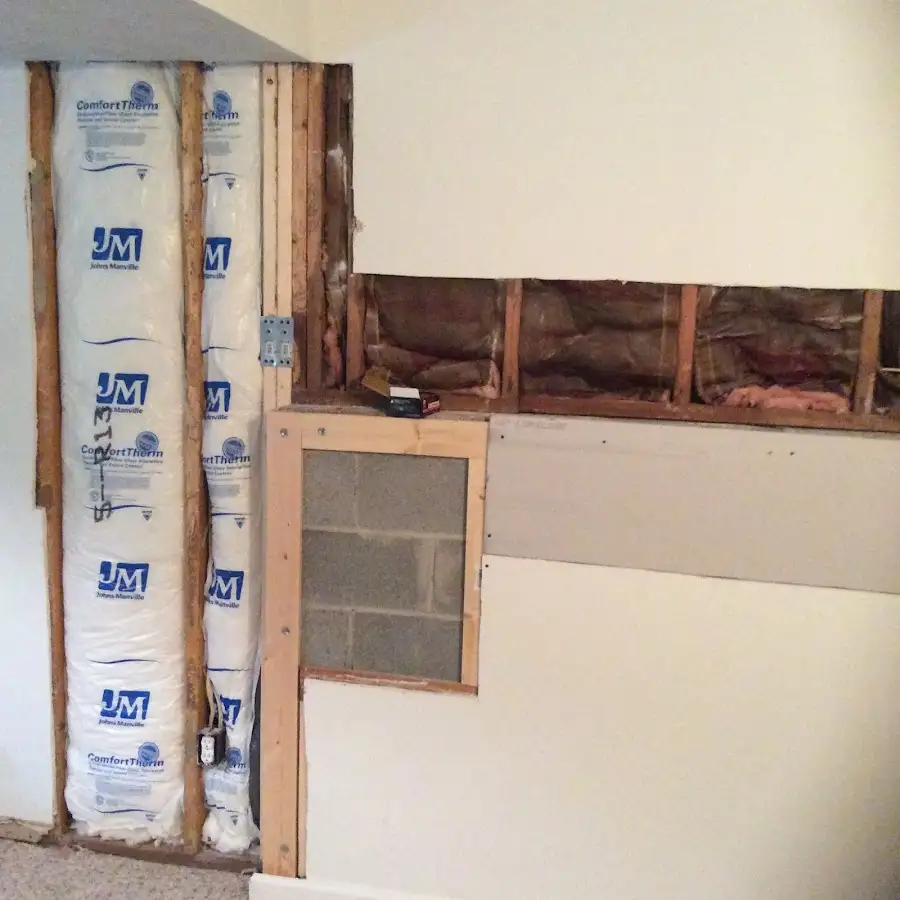 Wall insulation replacement during Odor Removal & Deodorization in Iona